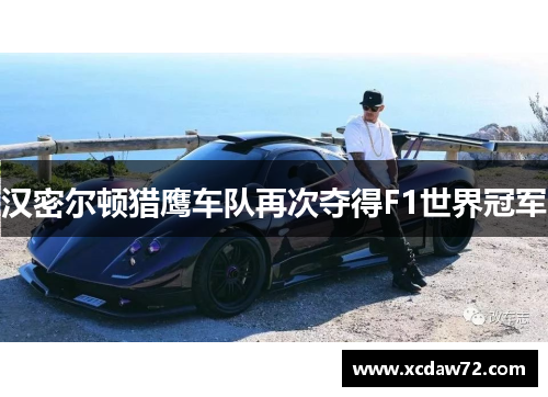 汉密尔顿猎鹰车队再次夺得F1世界冠军