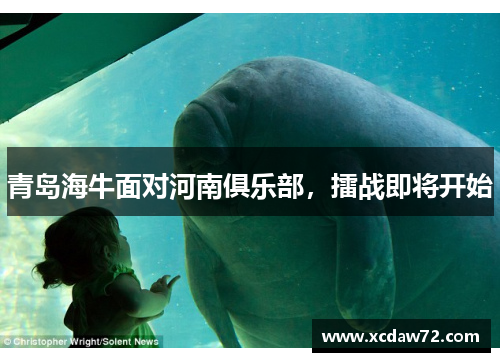 青岛海牛面对河南俱乐部，擂战即将开始